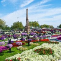 Парк цветов Al Ain Paradise (ОАЭ, Эль-Айн)