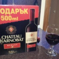 Красное сухое вино Chateau Karnobat Merlot