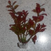 Искусственные аквариумные растения Tetra
