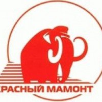 Сеть магазинов отделочных материалов "Красный мамонт" (Россия, Новосибирск)