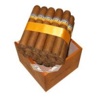 Сигары Cohiba Robusto