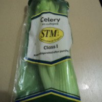 Сельдерей STM Agricultural Export Fresh Celery
