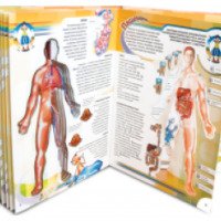 Книга "Тело Человека" - Издательство Азбукварик