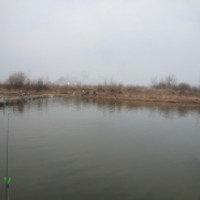 Платная рыбалка на озере "Городное" в Михайловской Слободе 