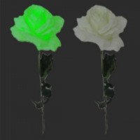 Светящаяся роза AcmeLight flower