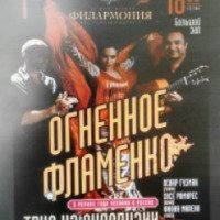 Концерт "Огненное фламенко. Трио из Андалузии" (Россия, Кострома)
