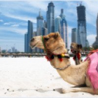 Общественный транспорт в г. Дубай (ОАЭ)