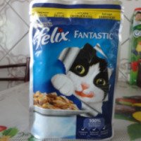 Консервы для кошек Felix Fantastic