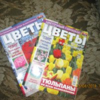 Журнал "Цветы на даче и в квартире" - издательство Мир новостей