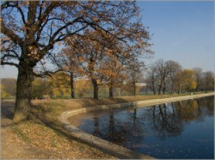 Терлецкий лесопарк фото