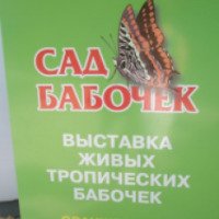 Сад тропических бабочек в Никитском саду (Крым)