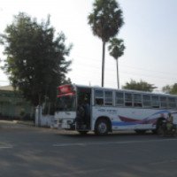 Автобус Таунгу-Нейпьидо (Мьянма, Нейпьидо)