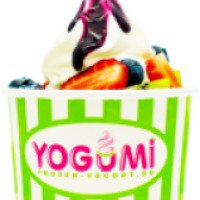 Натуральный замороженный йогурт Yogumi