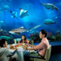 Ресторан "Ocean Restaurant by Cat Cora" (Сингапур, о. Сентоза)