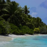 Проект по развитию и популяризации бюджетного туризма Wild Maldives