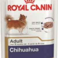 Влажный корм для собак Royal Canin Adult Chihuahua в возрасте с 8 месяцев