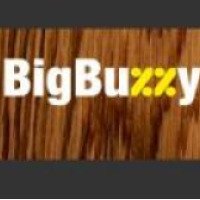 Bigbuzzy.ru - скидки на услуги от 50-90%