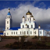 Покровский кафедральный собор (Россия, Шахты)