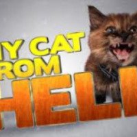 ТВ-передача о воспитании кошек "Адская кошка" (Animal Planet)