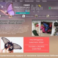 Магазин тропических бабочек Флай-Флай (Россия, Москва)