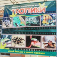 Выставка экзотических животных "Экватор" (Россия, Магнитогорск)