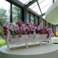 Выставка "Орхидеи" в павильоне Беатрикс в парке Кекенхоф (Нидерланды, Лиссе)