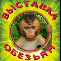 Контактная выставка обезьян (Россия, Нижний Новгород)