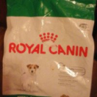 Корм для собак старше 8 лет Royal Canin