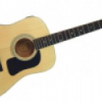 Акустическая гитара Washburn D8S
