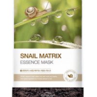 Омолаживающая кожу тканевая маска с муцином улитки Scinic Snail Matrix Essense Mask