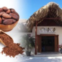 Музей шоколада Choco Museo (Доминикана, Пунта Кана)