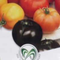 Семена томата Садовая коллекция "Экзотический урожай - черный томат"