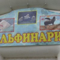 Московский передвижной дельфинарий (Россия, Владимир)