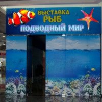 Выставка рыб "Подводный мир" (Россия, Барнаул)