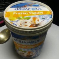 Замороженный йогурт Eridanous