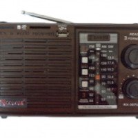 Радиоприемник Golon RX-307UR
