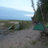 Отдых с палатками на берегу реки Волга 