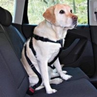 Автомобильный ремень-поводок для собак Trixie