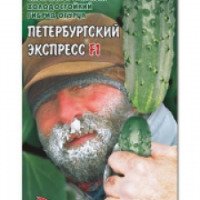 Семена огурцов Биотехника "Петербургский экспресс F1"