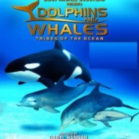 Документальный фильм "Дельфины и киты. Обитатели океана" (2008)