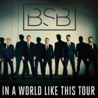 Концерт "Backstreet boys" - мировой тур 2013-2014 