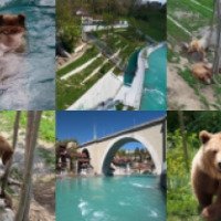 Медвежий зоопарк "Barenpark" (Швейцария, Берн)