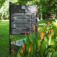Ботанический сад Памплемус (о. Маврикий)