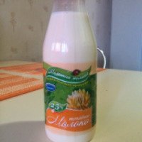 Топленое молоко Томммолоко 2,5%