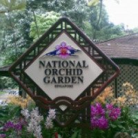 Национальный сад орхидей Сингапура