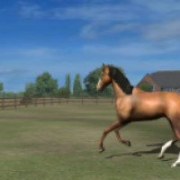 My Horse - игра для Андроид