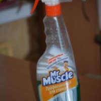 Чистящее средство Мистер Мускул "Профессионал для стекол"