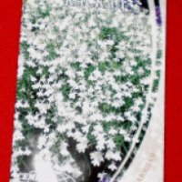 Семена цветов Лобелия Семена Украины "Белоснежный каскад"