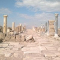 Экскурсия в античный город Лаодикия 