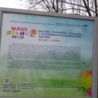 Выставка "Наш яркий мир" В Коломенском (Россия, Москва)